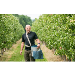 30.06.2014, Thomas Beck, Mitgesellschafter der Becks Obsthof GbR, in seiner Apfelplantage fotografiert

